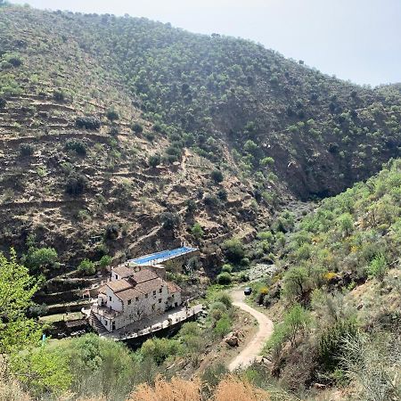 Molino Laroya别墅 外观 照片