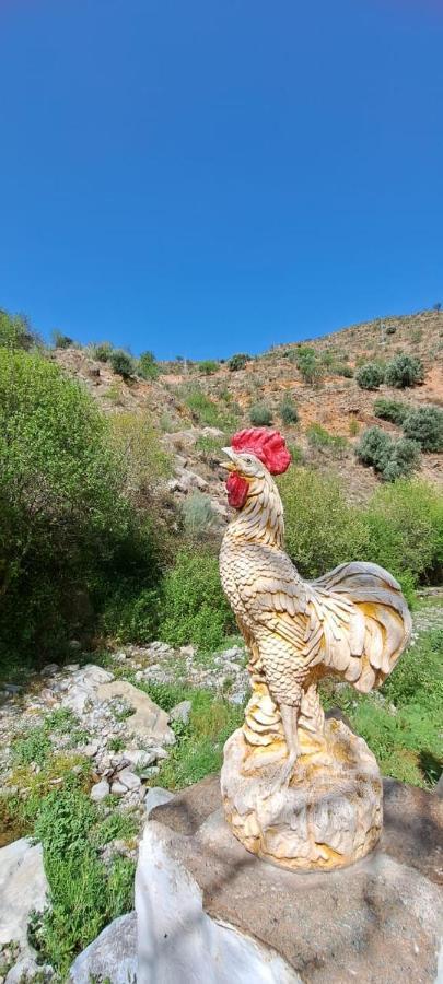Molino Laroya别墅 外观 照片